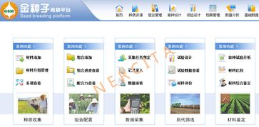 信息技術(shù)集成應(yīng)用助力現(xiàn)代農(nóng)業(yè)轉(zhuǎn)型升級的優(yōu)秀案例與推廣服務(wù)