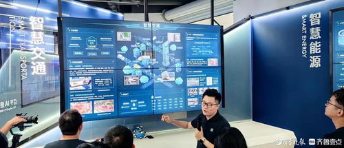 高質量發展調研行 開發工具軟件——軟件工業的明珠與人工智能應用軟件開發